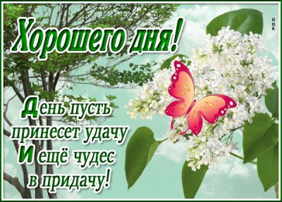 Картинка открытка хорошего дня с текстом