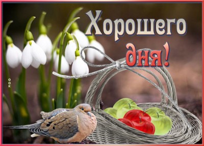 Открытка открытка хорошего дня с весной