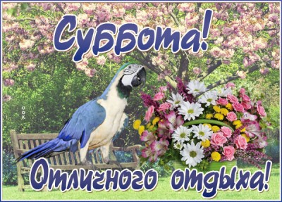 Открытка открытка классной субботы