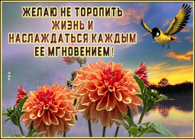 Картинка открытка красивых мгновений