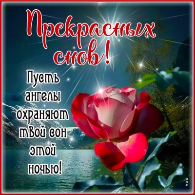 Открытка открытка милых снов