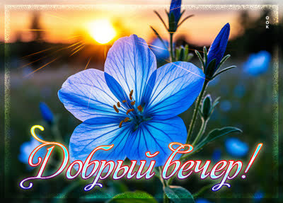 Postcard открытка невероятного вечера вам