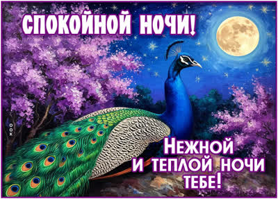 Postcard открытка нежной и теплой ночи