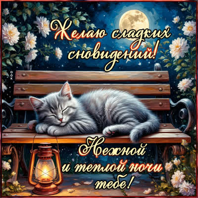 Postcard открытка нежной и теплой ночи тебе