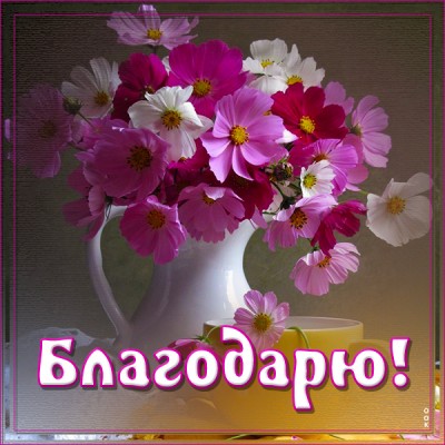 Открытка открытка от всей души благодарю