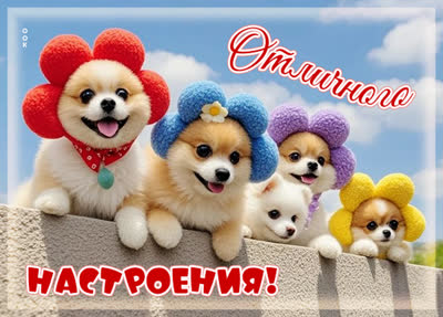 Postcard открытка отличного настроения