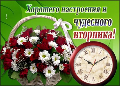 Открытка открытка плодотворного вторника