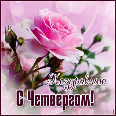 Открытка открытка поздравляю с четвергом