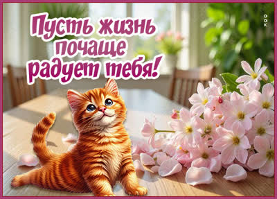 Postcard открытка пожелания радости, любви и вдохновения