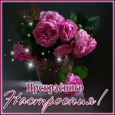 Открытка открытка прекрасного настроения