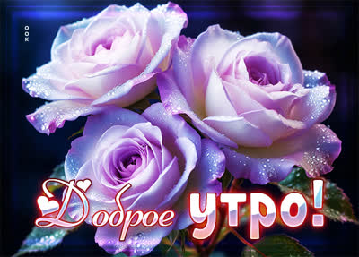Picture открытка прекрасного утра вам