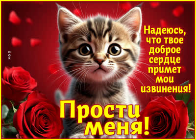 Picture открытка прими мои извинения