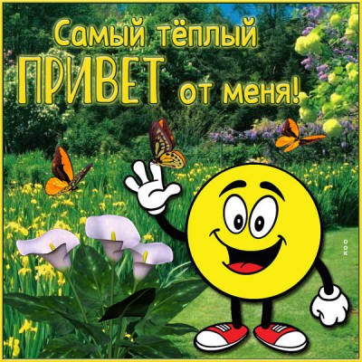 Открытка открытка привет чудесному человеку