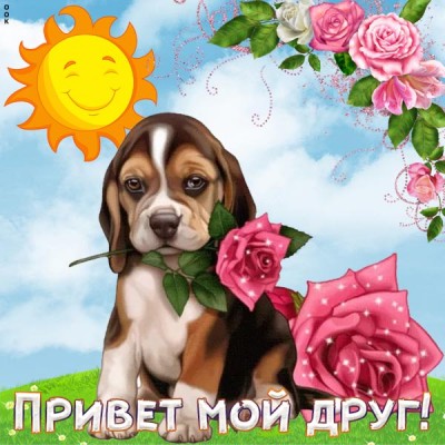Картинка открытка привет для друзей