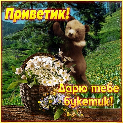 Картинка открытка привет от меня
