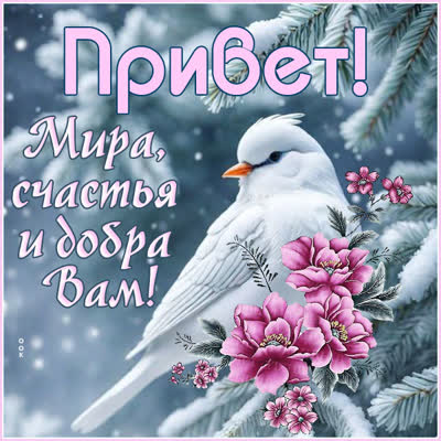 Postcard открытка привет, пусть этот день будет таким же замечательным, как вы!