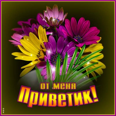 Открытка открытка привет с букетом