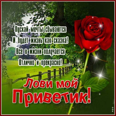 Картинка открытка привет с пожеланием