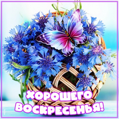 Открытка открытка приятного воскресного дня