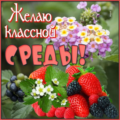 Открытка открытка приятной среды