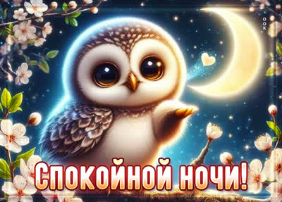 Postcard открытка приятных сновидений тебе