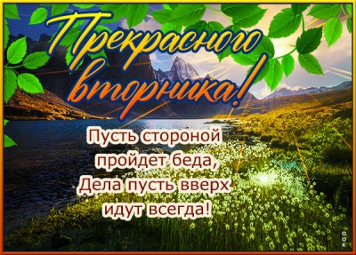 Картинка открытка продуктивного вторника