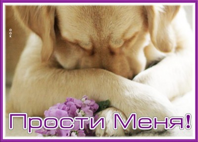 Открытка открытка прошу прости
