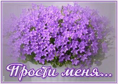 Картинка открытка прошу прости