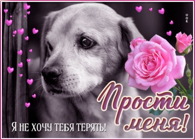 Открытка открытка прости меня пожалуйста