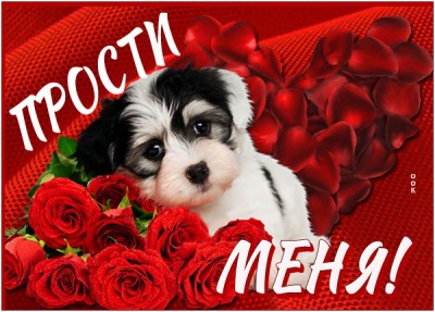 Открытка открытка прости, мне плохо без тебя