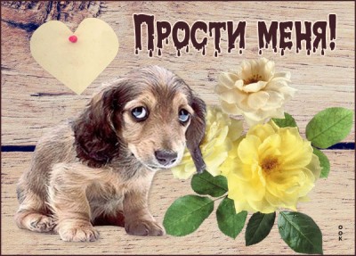 Открытка открытка прости с щеночком