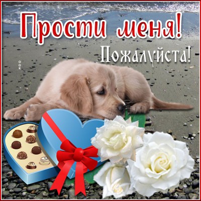 Картинка открытка прости с собачкой
