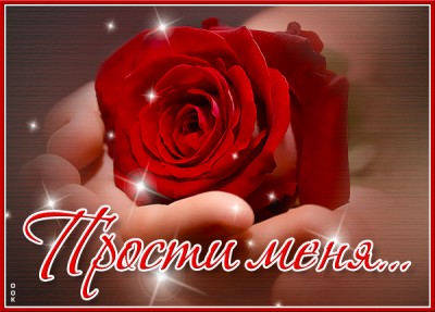 Открытка открытка прости женщине