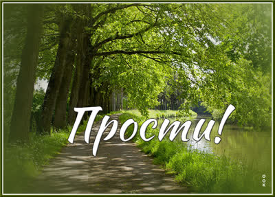 Postcard открытка прошу прости с природой