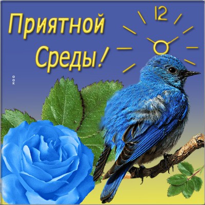 Открытка открытка пускай среда будет хороша