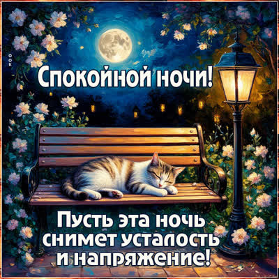 Postcard открытка пусть эта ночь снимет усталось и напряжение