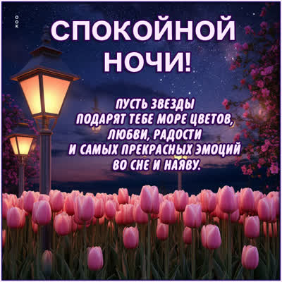 Postcard открытка пусть ночные звезды подарят море цветов