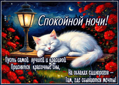 Postcard открытка пусть присняться красочные сны