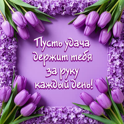 Picture открытка пусть удача держит тебя за руку каждый день