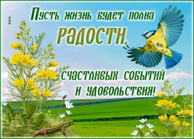 Картинка открытка пусть удача будет почаще