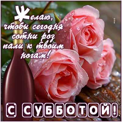 Picture открытка пусть все розы в этот день упадут к твоим ногам