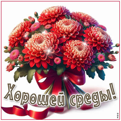 Postcard открытка с настроением для середины недели