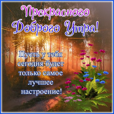 Картинка открытка с новым утром