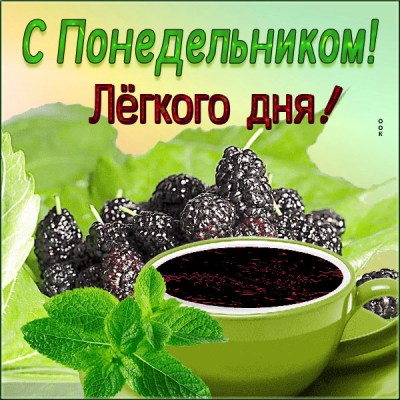 Открытка открытка с понедельником, новых идей