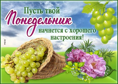 Открытка открытка с понедельником с пожеланием