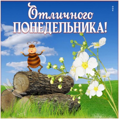 Картинка открытка с понедельником удачного дня