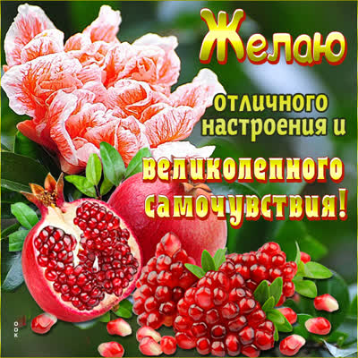 Picture открытка с пожеланиями родственникам