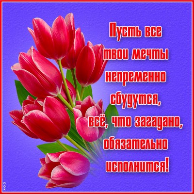 Открытка открытка с пожеланием женщине