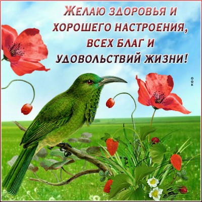 Открытка открытка с пожеланиями друзьям
