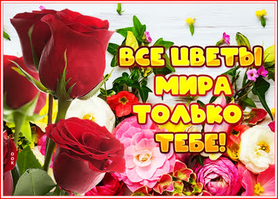 Picture открытка с прекрасными цветами